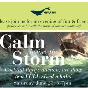 The Calm Before the Storm Fundraising Party & Art Show