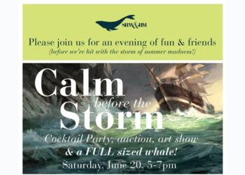 The Calm Before the Storm Fundraising Party & Art Show