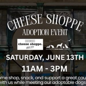 SASF Adoption Event at Village Cheese Shoppe