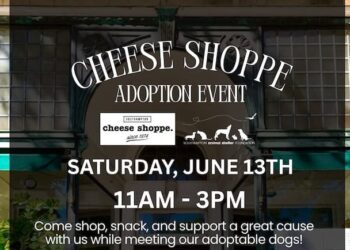 SASF Adoption Event at Village Cheese Shoppe
