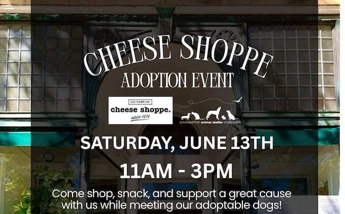 SASF Adoption Event at Village Cheese Shoppe