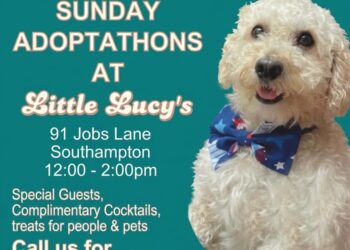 Little Lucy’s Summer Adoptathon