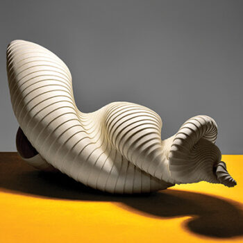 Inaugural Exhibition: The Cadence of Form