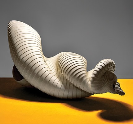 Inaugural Exhibition: The Cadence of Form