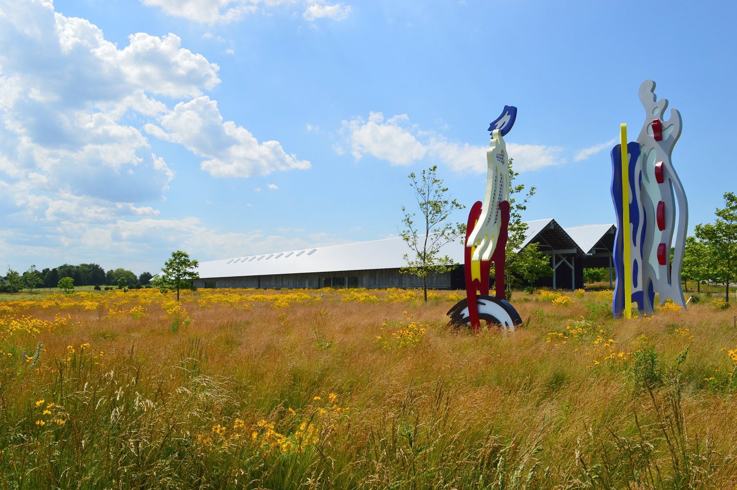 Curator-Led Tour | Sanford Biggers: Drift