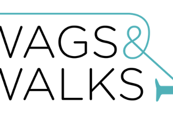 Wags & Walks Pup-Up at Red Horse Market