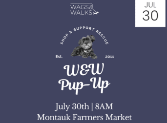 Wags & Walks at the Montauk Farmers Market 🐾