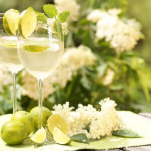 French Heritage Society Summer Soirée