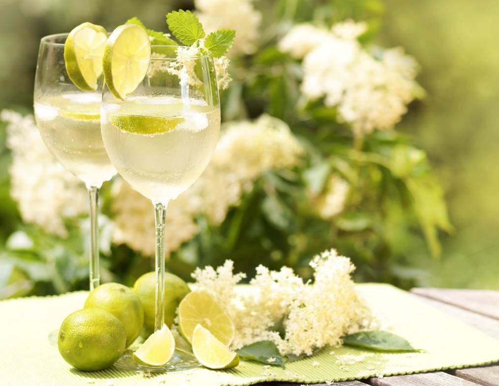 French Heritage Society Summer Soirée