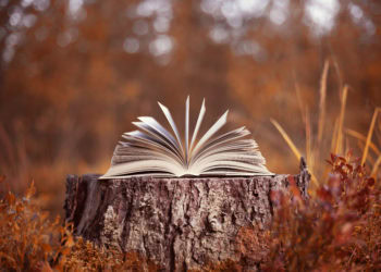 John Jermain Memorial Library: Thankfulness Story Time