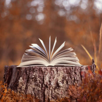Author Event: The Library in the Woods by Calvin Alexander Ramsey