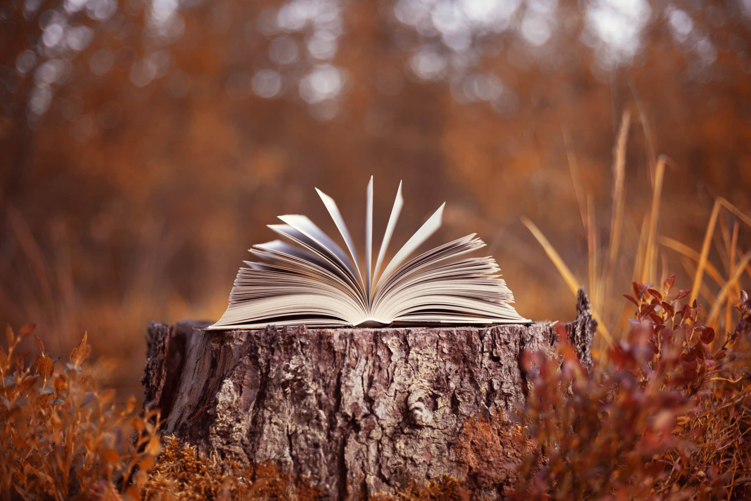 Author Event: The Library in the Woods by Calvin Alexander Ramsey