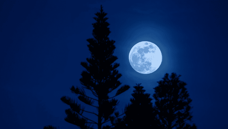 Full Sturgeon Moon Hike