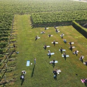 Yoga in the Vines