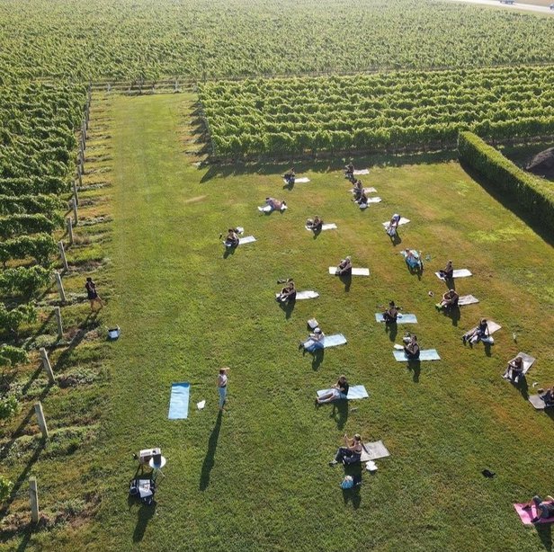 Yoga in the Vines