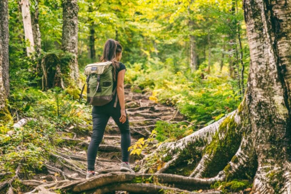 Sapaponack Bay to Ocean Trail Hike