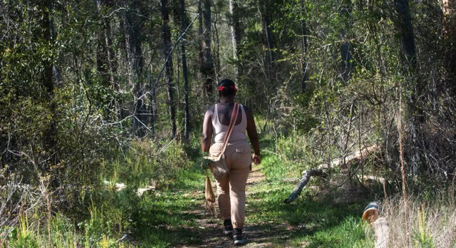 Wellness Monday: Indigenous Plant Medicine of the East End with Chenae Bullock