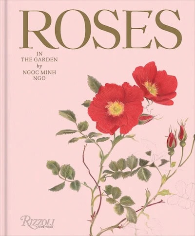 LongHouse Talks: Roses in the Garden by Ngoc Minh Ngo