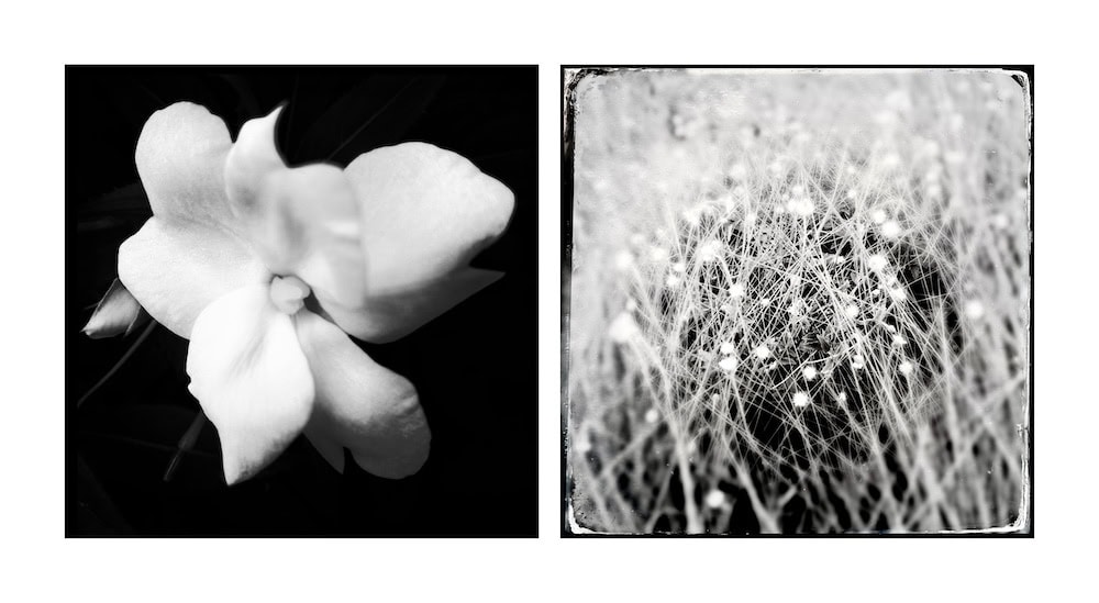 FINE ART PHOTOGRAPHER ADRIANE STARK AT ASHAWAGH HALL’S THE VISUAL SPACE