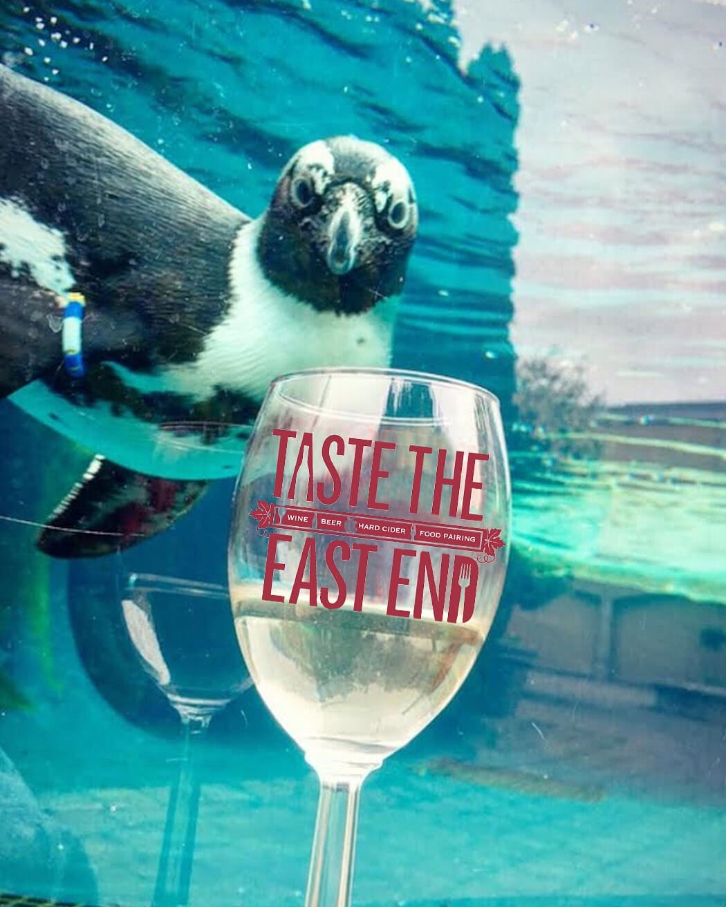 Long Island Aquarium
