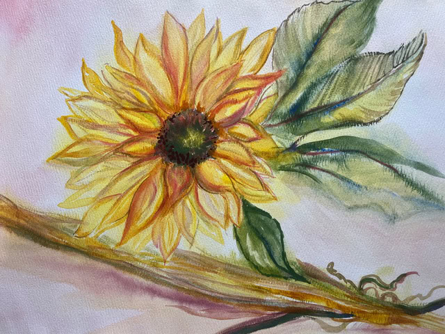 Watercolor Painting – Flowers: Form, Light, and Color with Instructor Dr. Quincy Egginton