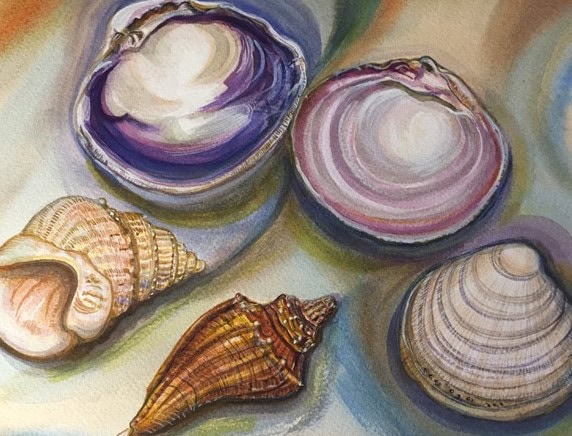Watercolor Painting – Gifts from the Sea: Seashells and More with Instructor Dr. Quincy Egginton