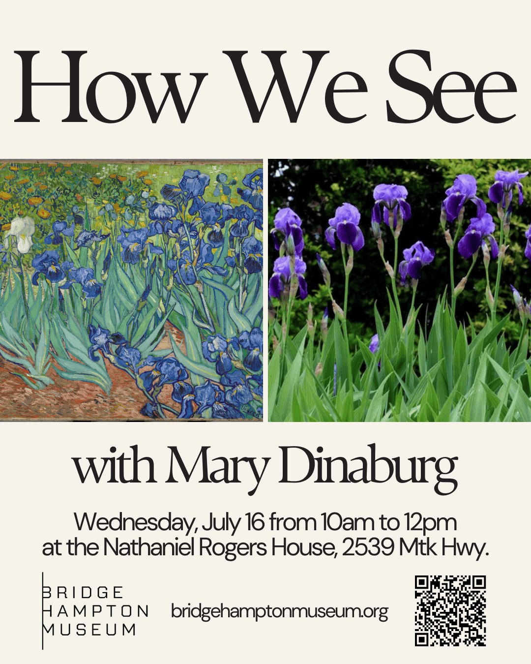 How We See with Mary Dinaburg