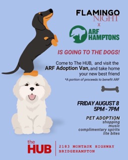 Flamingo Night x ARF Hamptons at The HUB