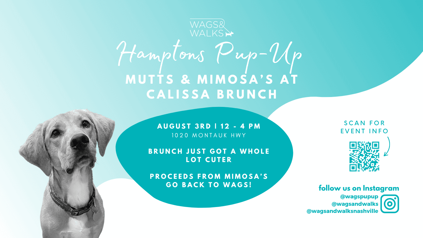 Mutts & Mimosas at Calissa Hamptons