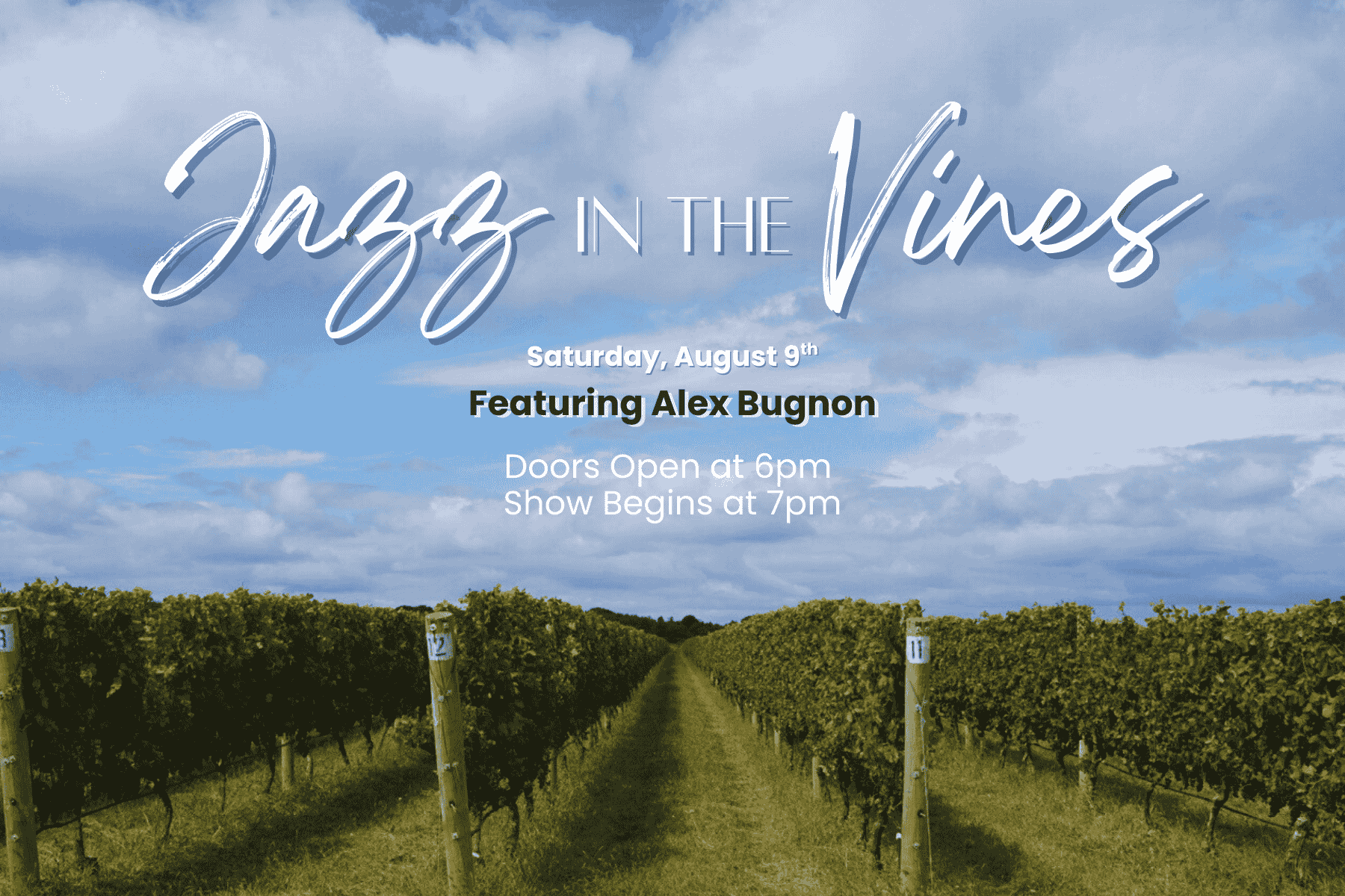 Jazz In The Vines at Peconic Bay Vineyards