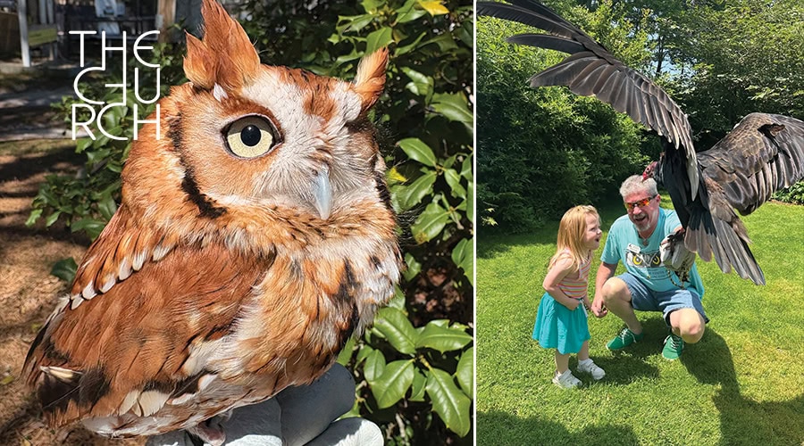 East End Raptors with Tammy Flanell and The Evelyn Alexander Wildlife Rescue Center