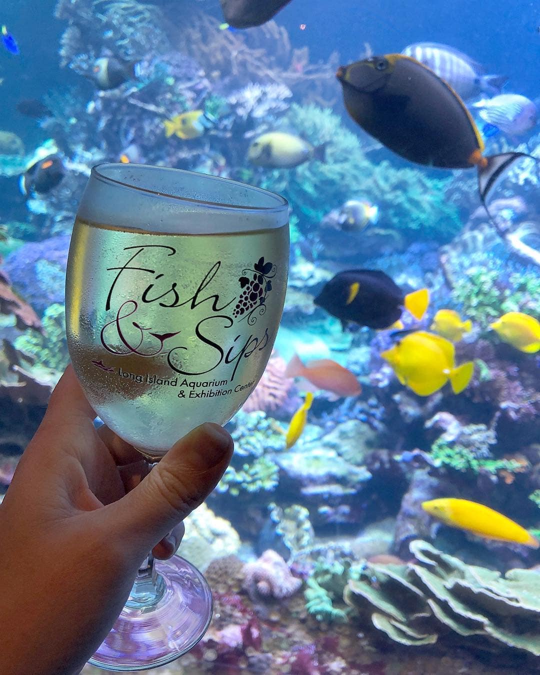 Fish & Sips