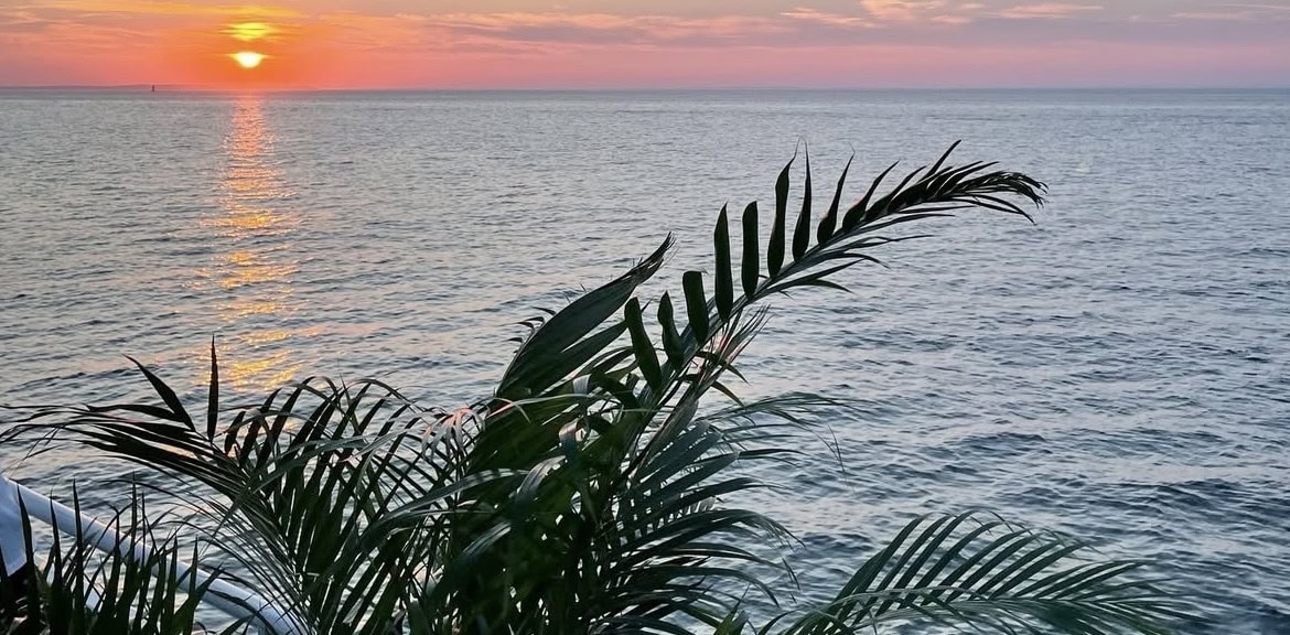 Charter Cruise! by Hamptons Hour x Easy Breeze for Wags & Walks