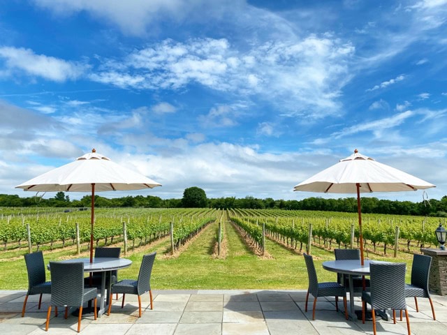 Sparkling Pointe’s North Fork Lobster Roll & Potato Chip Sparkling Wine Pairing