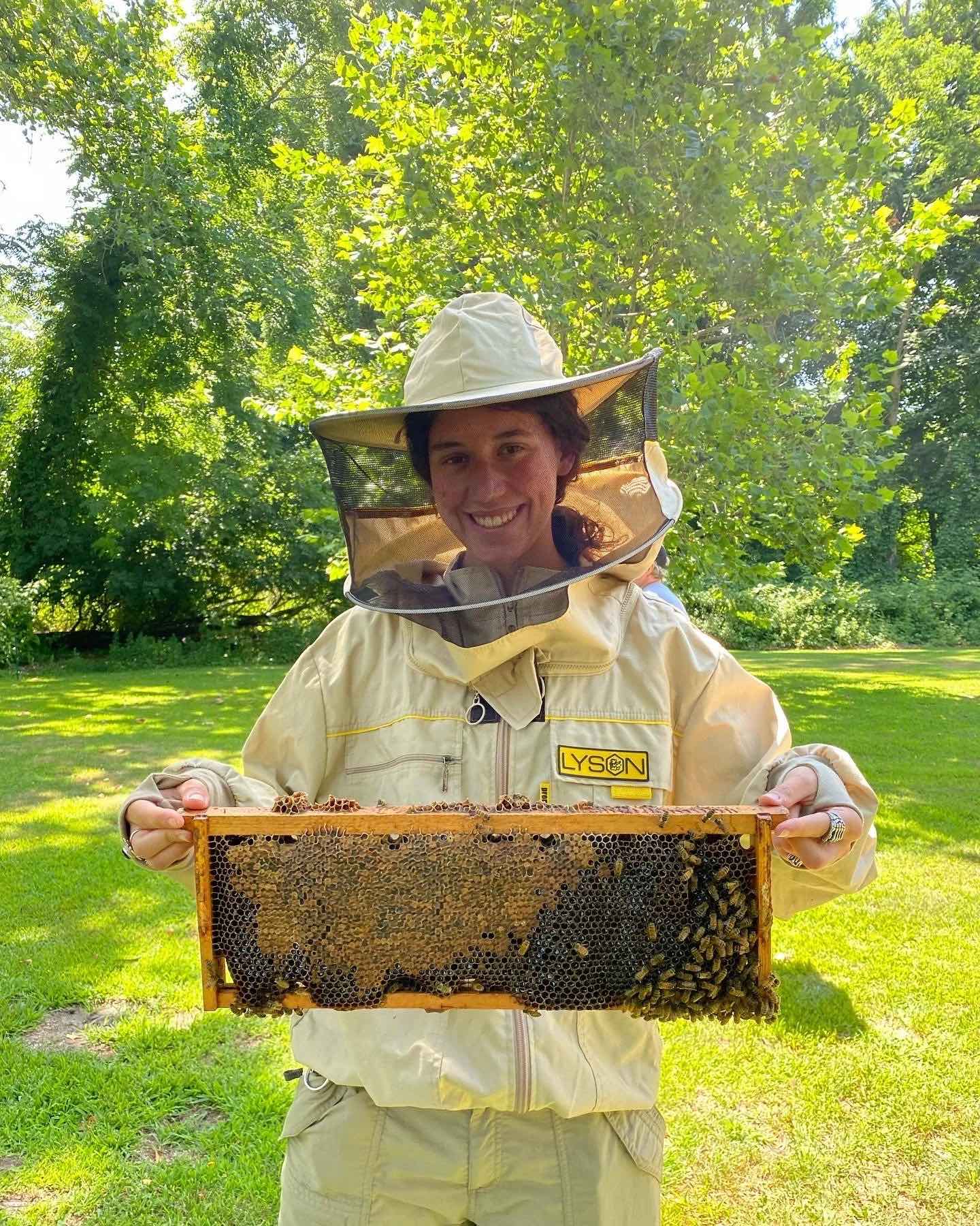Honey Harvesting with Master Beekeeper (Cutchogue)