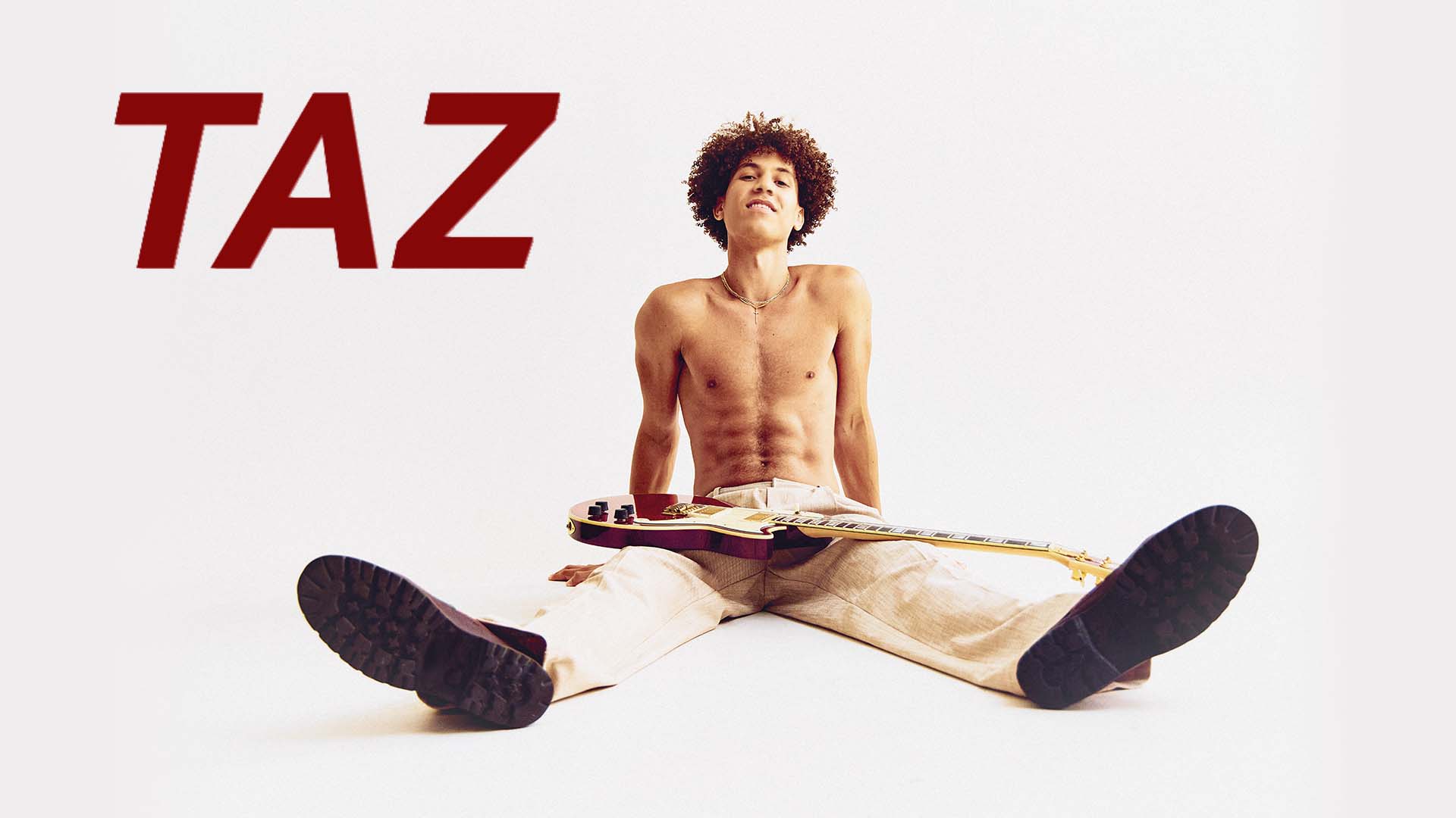 TAZ