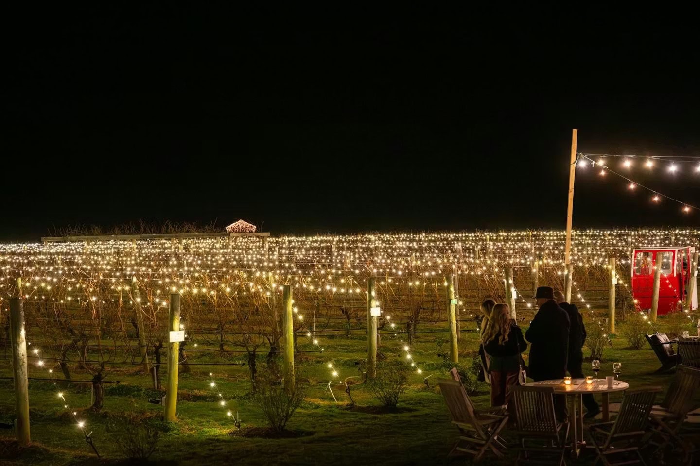 16th Annual Lighting of the Vines