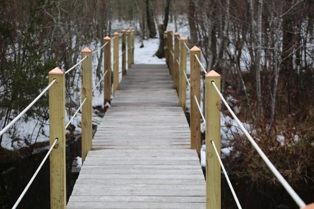 Cranberry Bog Preserve Walk (Riverhead)