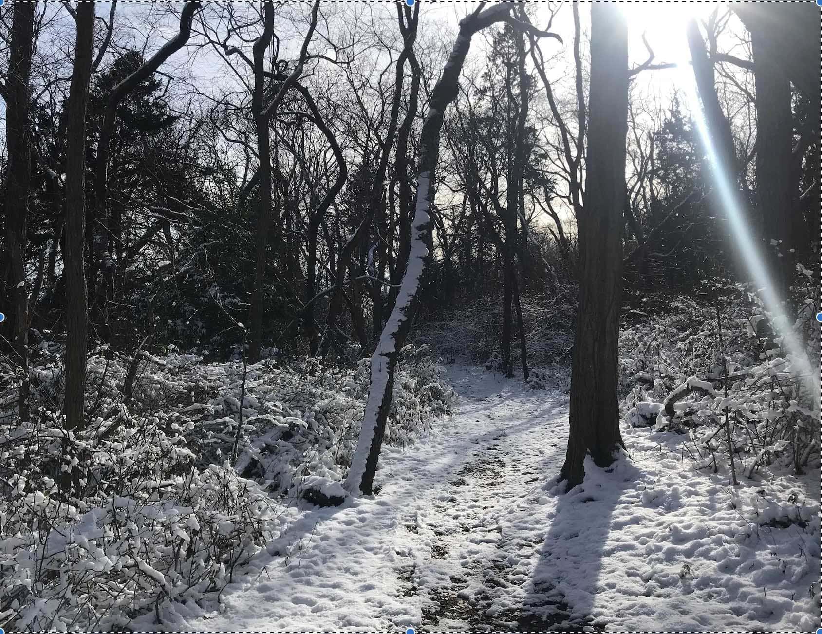 Nature Scavenger Hunt (Cutchogue)