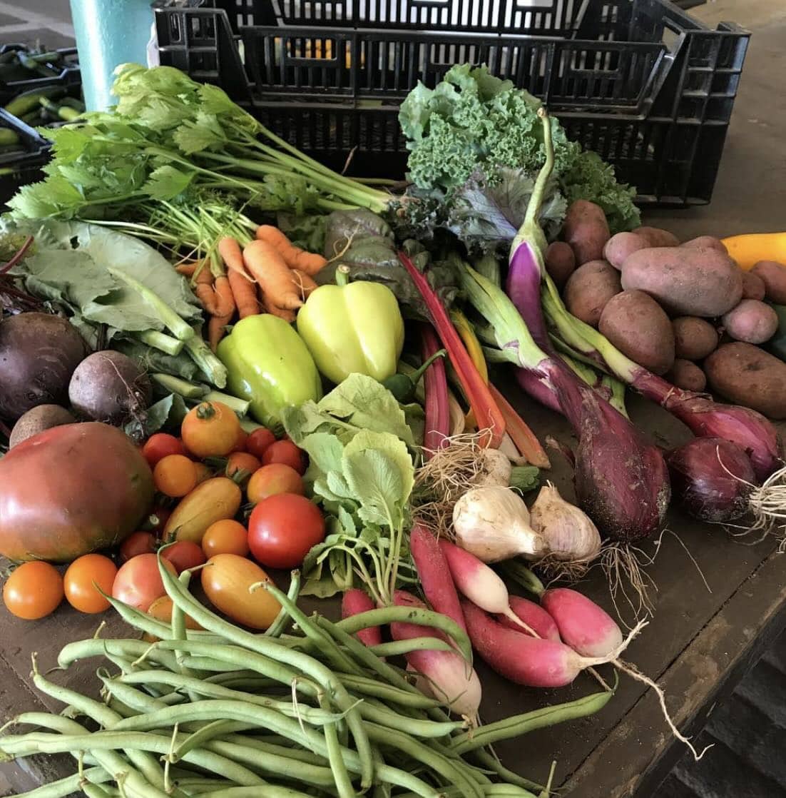 CSA Fair with NOFA-NY and East End Food