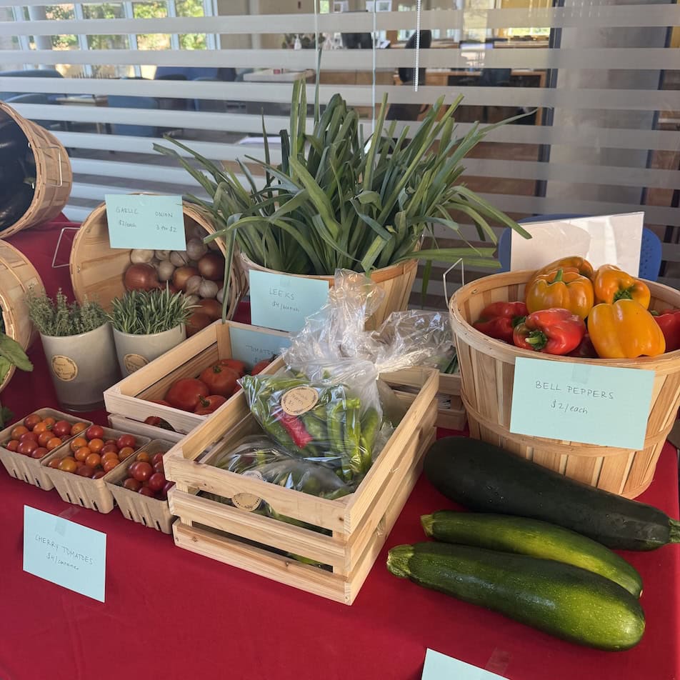 Scaling Your Food Business: From Small Batch to Sustainable Growth