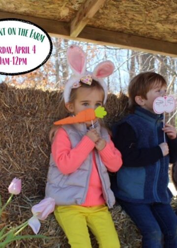 Family Farm Feeding & Egg Hunt at The Green School