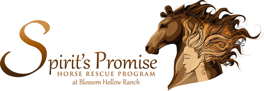 Spirit's Promise Equine Rescue