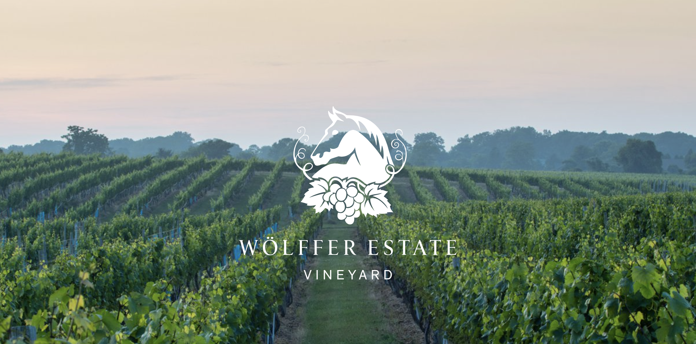 Wölffer Estate Vineyard